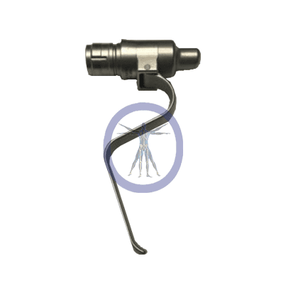 A picture of the side view of an ear.