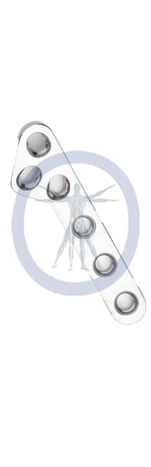 A graphic of an image with the human body in the background.