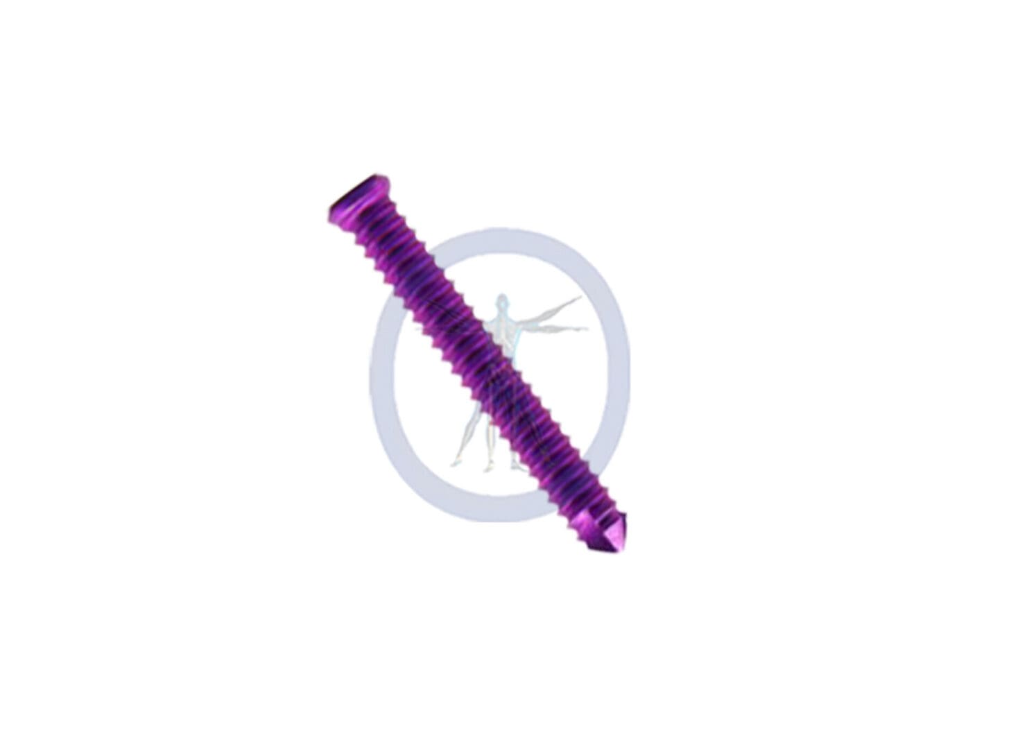 A purple screw is shown on top of the picture.
