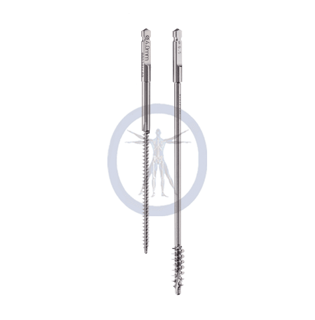 A pair of metal nails with a small screw.