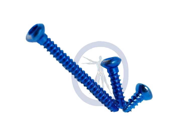 A blue metal screw is sitting on top of another blue metal object.