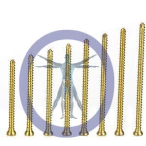 A row of eight metal bone screws.