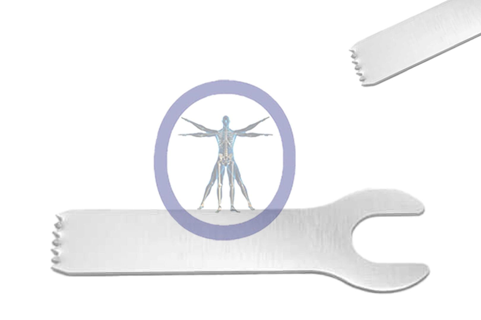 Anatomical illustration of a human circulatory system within a circle, superimposed on an 18.5 MM X 5.8 MM X 0.60 MM Small Bone Oscillating Blade Conmed Style – OSSZM-262, isolated on a white background.