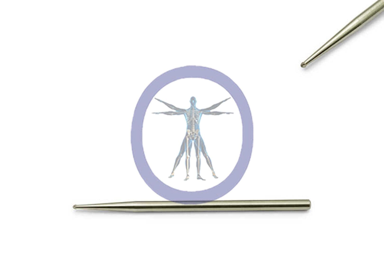 Illustration of a human anatomy within a Round Bur 1.0 MM 6 Flute Carbide Medium, accompanied by a metallic dissecting needle on a white background.