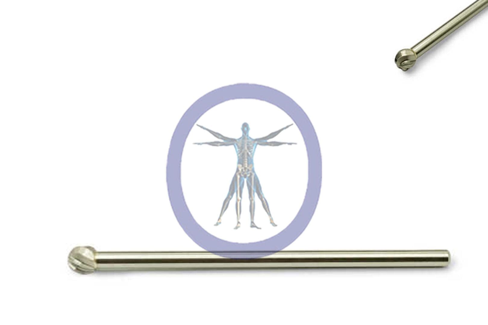 Round Bur 5.0 MM 8 Flute Carbide Long Straight Shaft – OSSH-230 focusing on an illustration of the human muscular system, flanked by two horizontal metal rods.