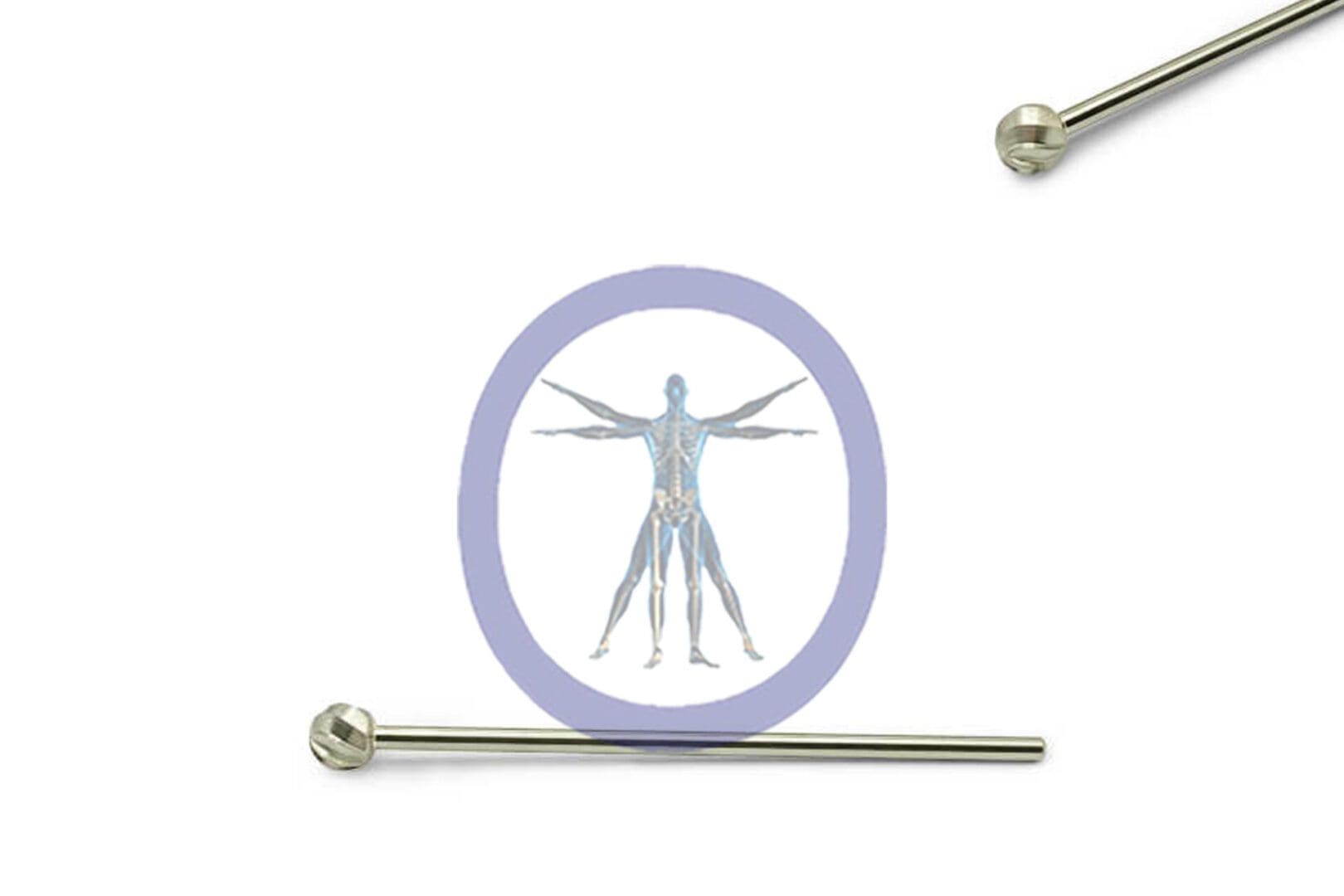 Two Round Bur 6.5 MM 8 Flute Carbide Long Straight Shafts above and below an icon of a human figure with visible skeleton, encircled by a purple ring on a white background.