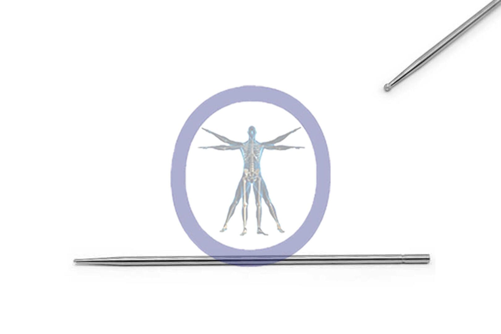 A Round Bur 2.4 MM 6 Flute Carbide Extra Long – OSSH-325 zooms in on an illustration of the human muscular system, with a metallic pointer to the side on a plain white background.