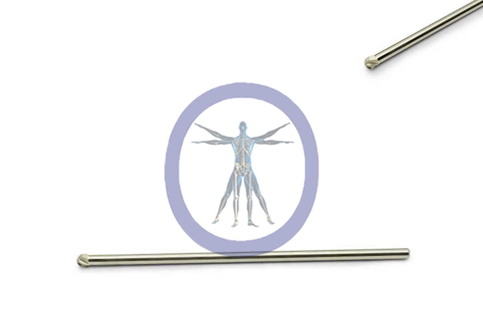 A medical slide displaying an illustration of the human muscular system, viewed under a microscope with two Round Bur 3.0 MM 6 Flute Carbide Extra Long Straight Shaft – OSSH-326 nearby.
