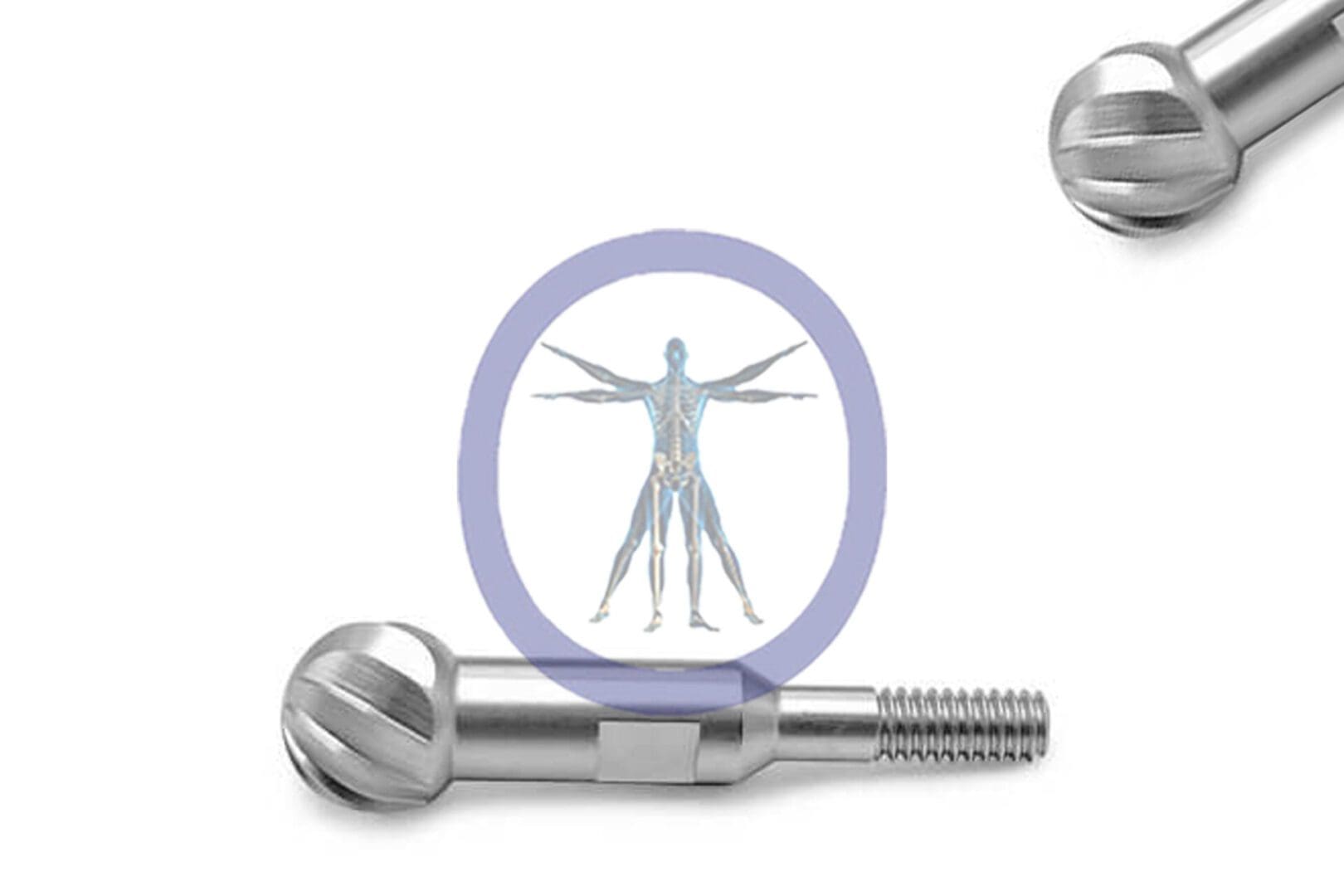 Human anatomy depicted in a Round Bur 9.0 MM 10 Flute Stainless Steel Cebotome, Threaded between two metallic screws on a white background.