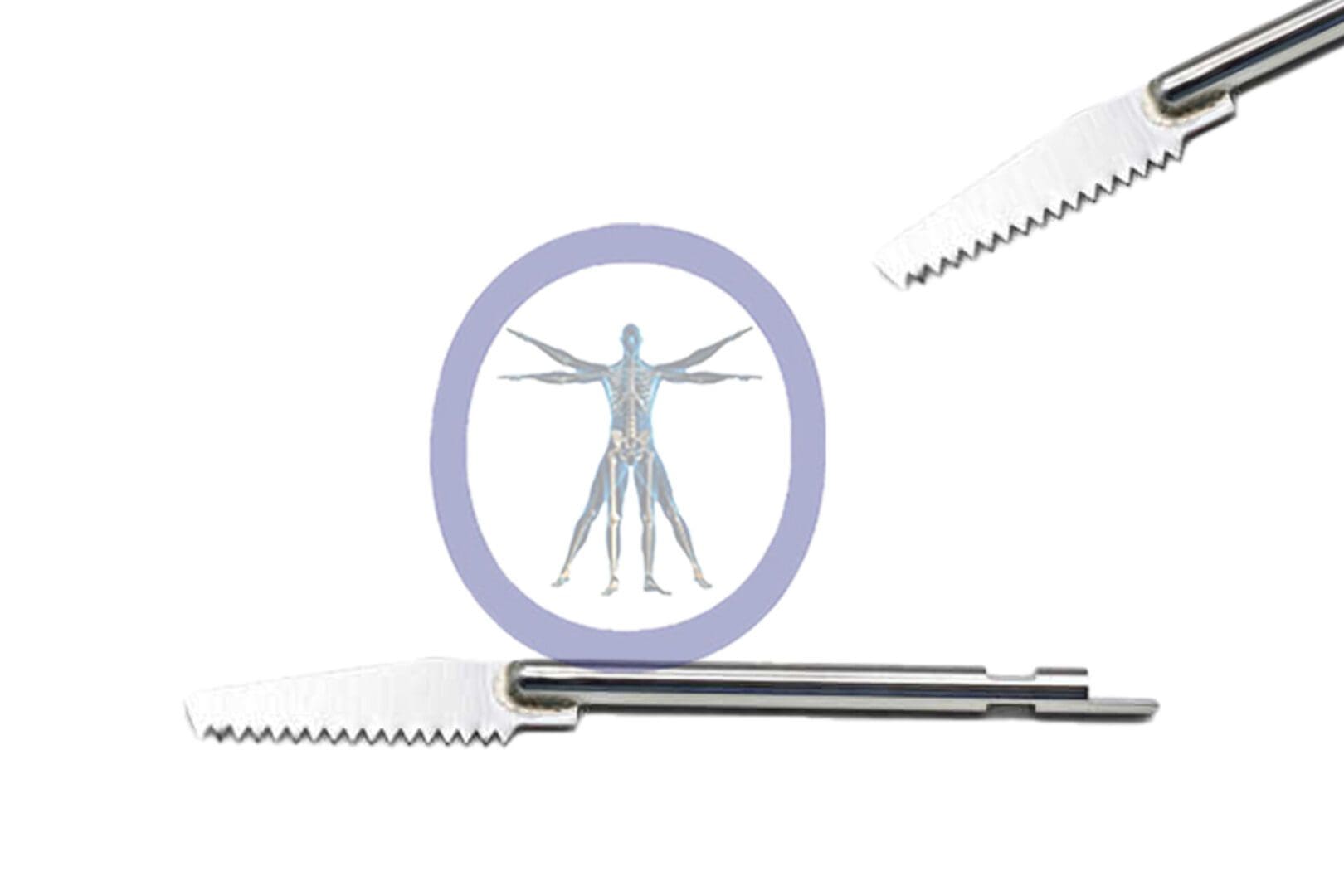 Two OSSORST-906R positioned around a circle containing an illustration of a human anatomy with highlighted internal systems.