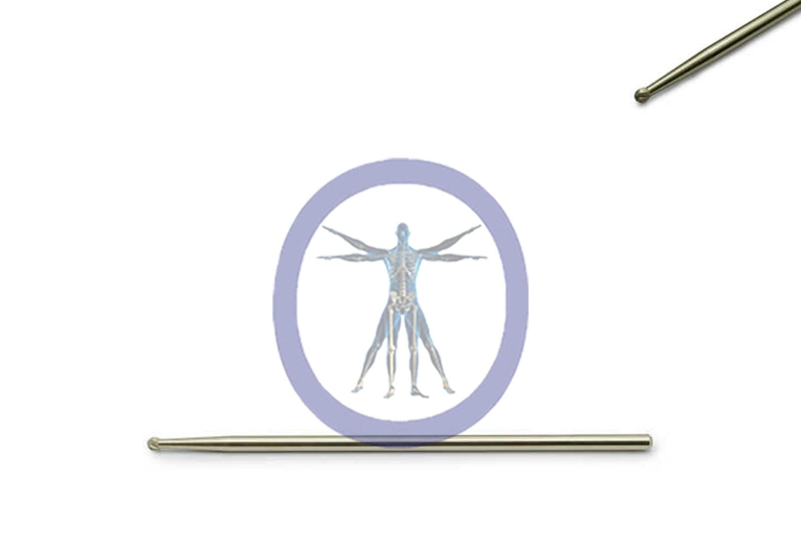 A medical illustration of the human muscular system displayed within a circle, positioned above a Round Bur 2.0 MM 6 Flute Stainless Steel Straight Shaft Long – OSSR2070 on a plain background.