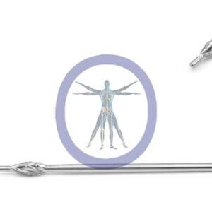 Illustration of the Swanson Bur inside a circle, flanked by two Pilot Point 5.0 MM 7 Flute Stainless Steel Straight Shaft Long pens, against a plain white background.