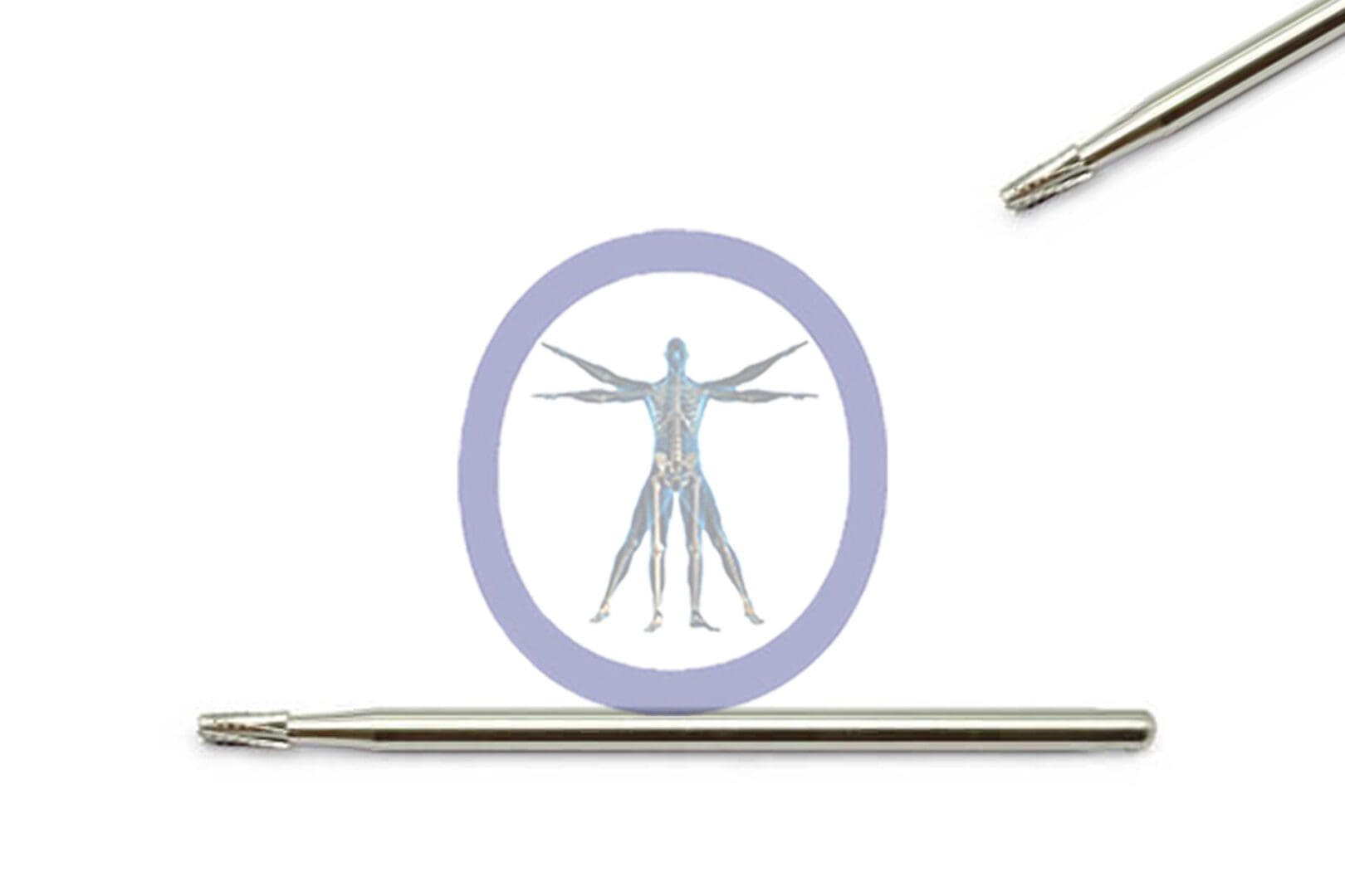 A medical illustration of the human muscular system, viewed head-on, inside a circle, flanked by two Side Cutting Bur, Tapered 2.1 MM 6 Flute Carbide Straight Shaft Medium surgical instruments.
