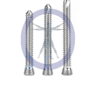 Three surgical screws of different sizes.